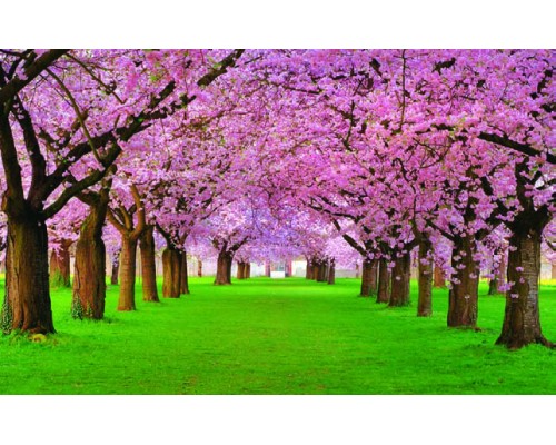 Desk Calendar DC 5